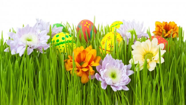 Обои картинки фото праздничные, пасха, трава, цветы, яйца
