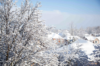 Картинка природа зима дома ветки деревья небо снег крыши здания