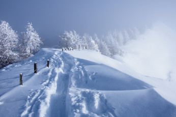 Картинка природа зима туман забор снег