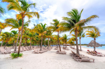 Картинка природа тропики пальмы осень пляж песок лежак