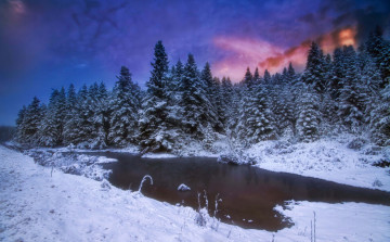 Картинка природа зима ночь лес