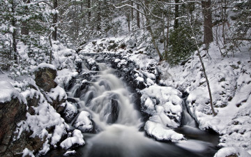 Картинка природа реки озера река лес снег