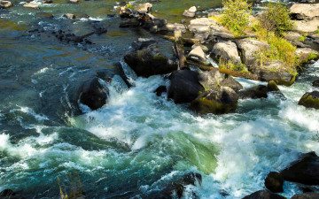 Картинка природа реки озера вода поток камни река дерево