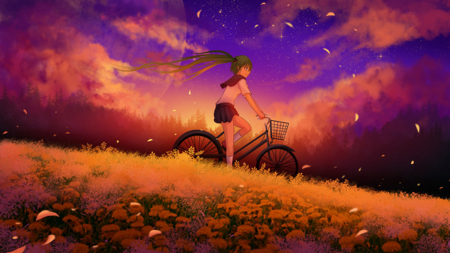 Обои картинки фото аниме, vocaloid, девушка, арт, велосипед, hatsune, miku, поле, закат