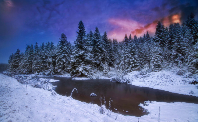 Обои картинки фото природа, зима, ночь, лес