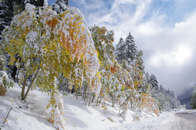 Обои картинки фото природа, зима, дорога, облака, небо, деревья, снег, осень, листья