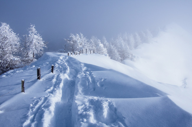 Обои картинки фото природа, зима, туман, забор, снег