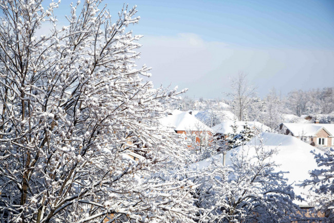 Обои картинки фото природа, зима, дома, ветки, деревья, небо, снег, крыши, здания