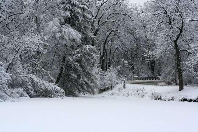 Обои картинки фото природа, зима, мостик, снег, деревья