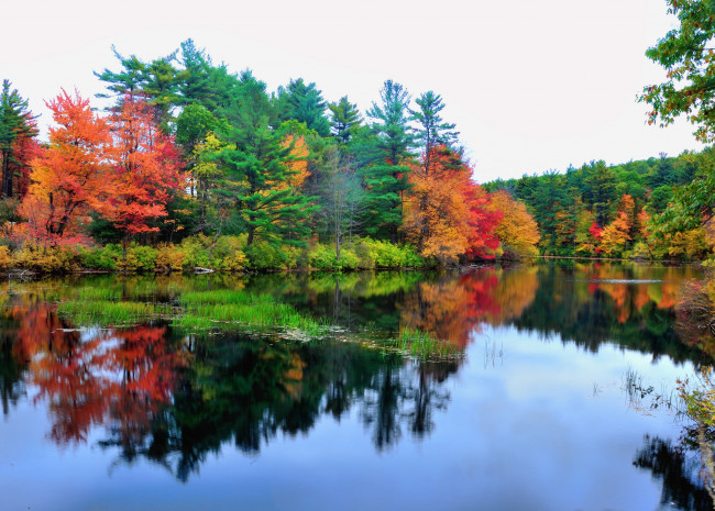Обои картинки фото природа, реки, озера, небо, река, осень, деревья, лес, отражение, вода, озеро