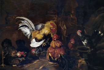 Картинка рисованное животные быт жанровая птицы картина петушиный бой Ян фейт