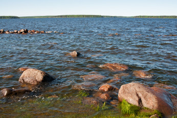 Картинка залив природа побережье балтийское море