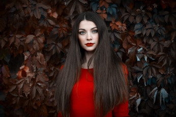 Картинка девушки -+лица +портреты брюнетка листья красный свитер