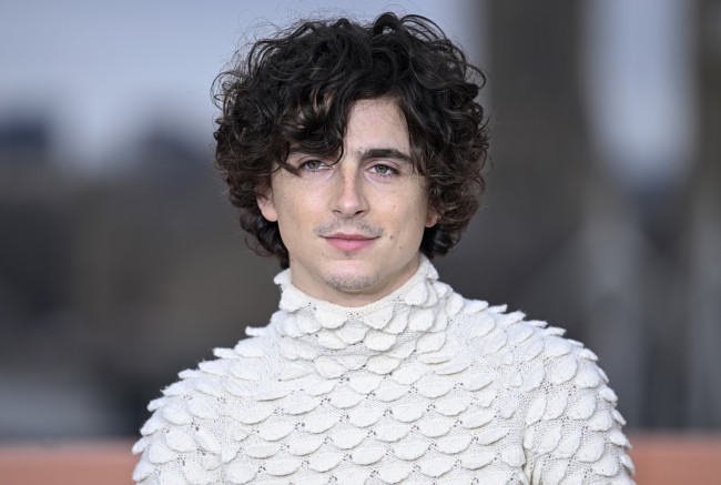 Обои картинки фото мужчины, timothee chalamet, актер, свитер