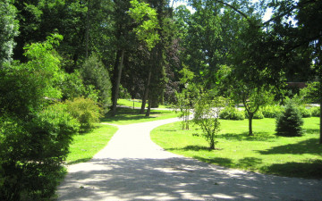 Картинка природа парк кусты деревья дорожки