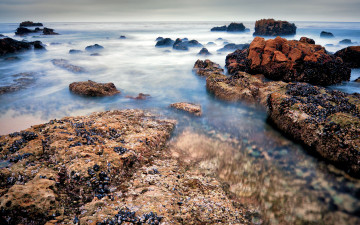 Картинка природа побережье океан камни laguna beach california