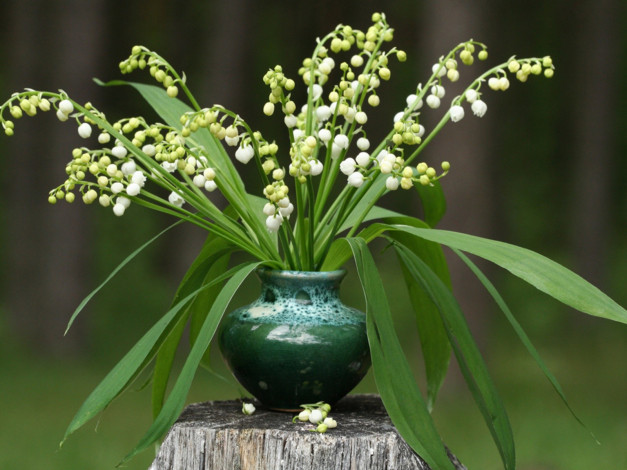 Обои картинки фото цветы, ландыши, пень, ваза, май, весна