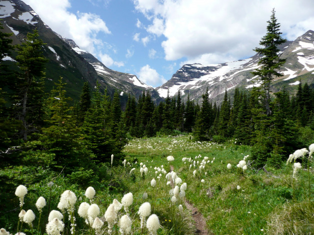 Обои картинки фото природа, горы, usa, montana, glacier, national, park