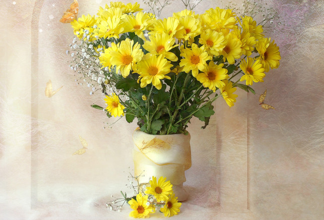 Обои картинки фото цветы, хризантемы, гипсофила, маргаритки, желтый, ваза