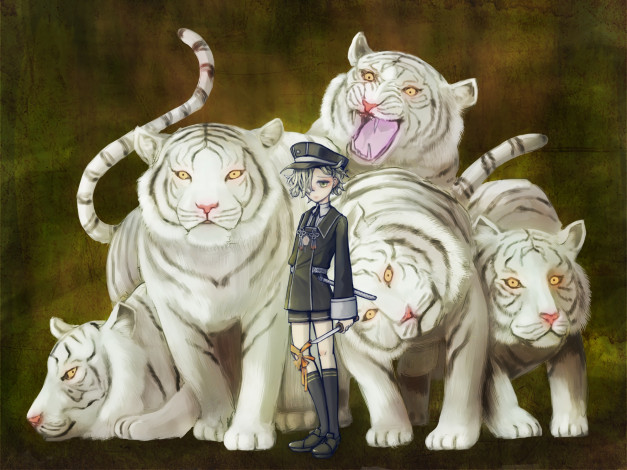 Обои картинки фото аниме, touken ranbu, touken, ranbu, белые, тигры, мальчик, gokotai
