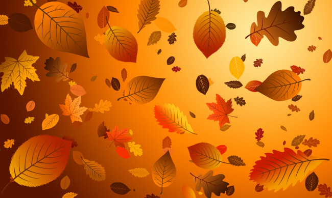 Обои картинки фото векторная графика, природа , nature, листья, фон, осень