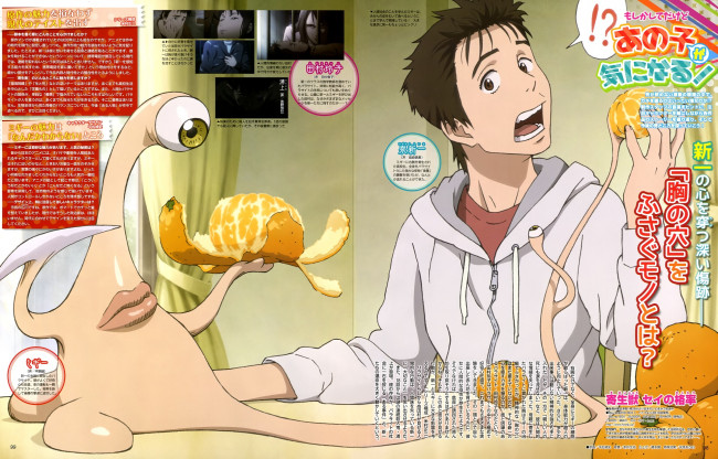 Обои картинки фото аниме, kiseijuu,  sei no kakuritsu, правик, паразит, шиничи, изуми