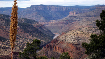 Картинка природа горы каньон