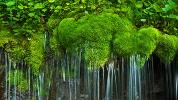 Картинка природа водопады шенандоа национальный парк водопад виргиния мох сша