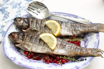 Картинка еда рыбные+блюда +с+морепродуктами форель