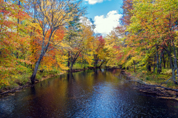 Картинка природа реки озера река осень