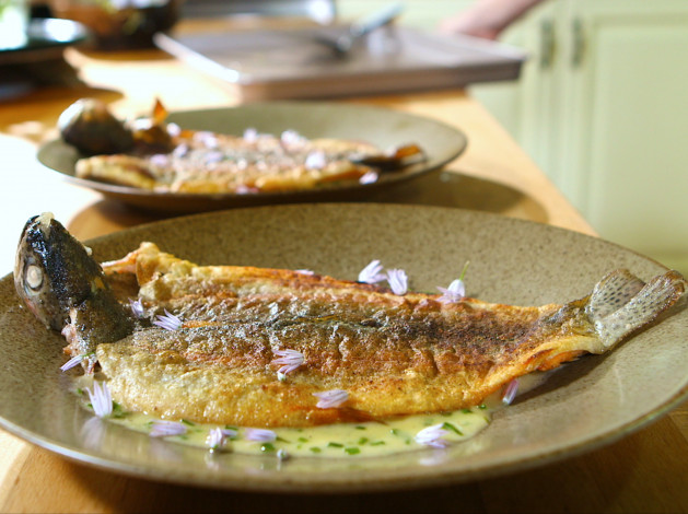 Обои картинки фото еда, рыбные блюда,  с морепродуктами, форель