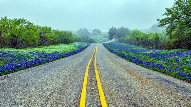 Обои картинки фото природа, дороги, шоссе