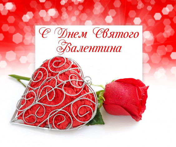 Обои картинки фото праздничные, день святого валентина,  сердечки,  любовь, сердечко, роза