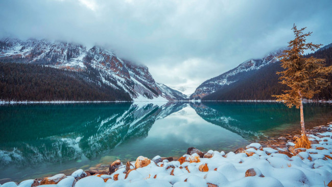 Обои картинки фото lake louise, banff np, alberta, природа, реки, озера, lake, louise, banff, np