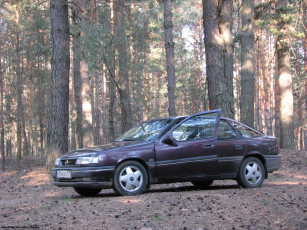 обоя ласточка, автомобили, opel