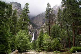 Картинка природа водопады лес горы