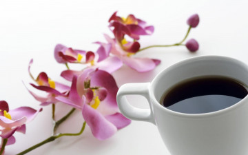 обоя еда, кофе, кофейные, зёрна, орхидеи, цветы