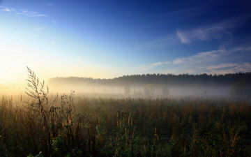 Картинка природа поля поле туман лето