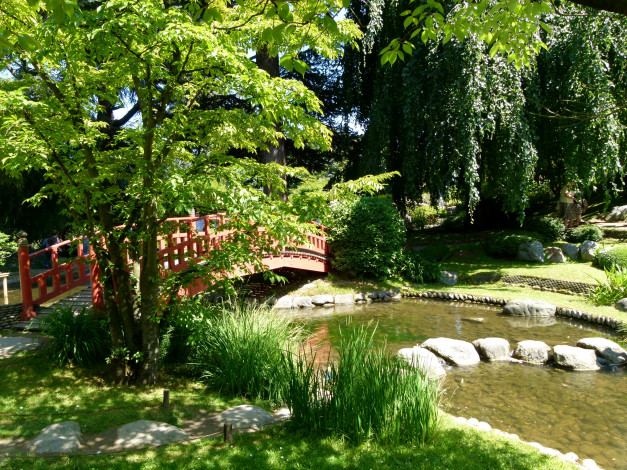 Обои картинки фото природа, парк, Японский, сад, альберта, кана, франция, париж