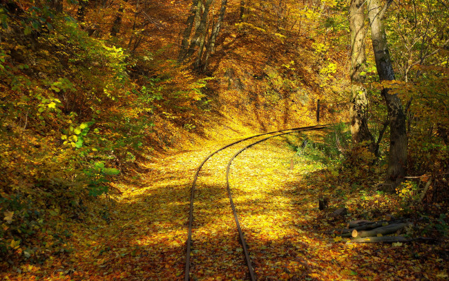 Обои картинки фото природа, дороги, дорога, листья, осень