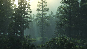 Картинка 3д графика nature landscape природа лес