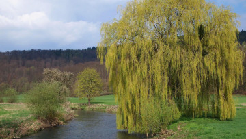 Картинка природа реки озера река деревья поле тропинка