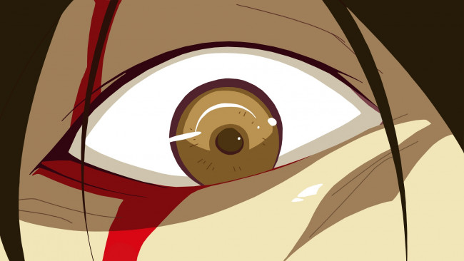 Обои картинки фото аниме, bakemonogatari, глаз