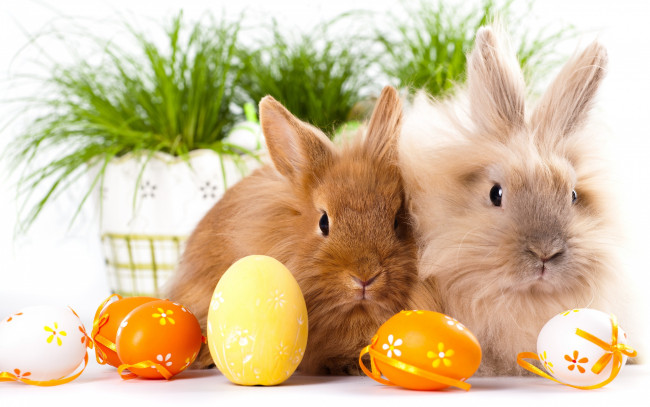 Обои картинки фото животные, кролики,  зайцы, двое, Яйца, пасха
