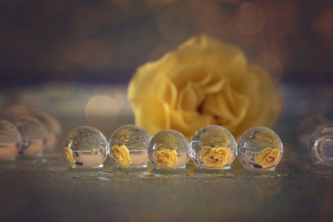 Обои картинки фото разное, капли,  брызги,  всплески, отражение, макро, роза, желтая, пузыри