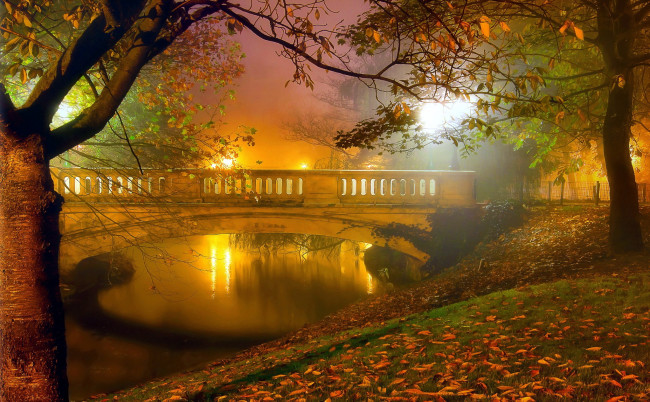 Обои картинки фото природа, парк, вечер, мост, водоем
