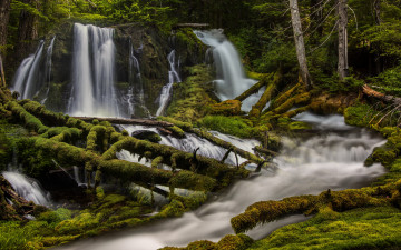 Картинка природа водопады лес река мох washington state скамейния штат вашингтон skamania county big creek falls