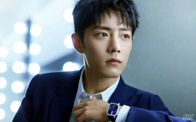 Обои картинки фото мужчины, xiao zhan, актер, лицо, пиджак, часы
