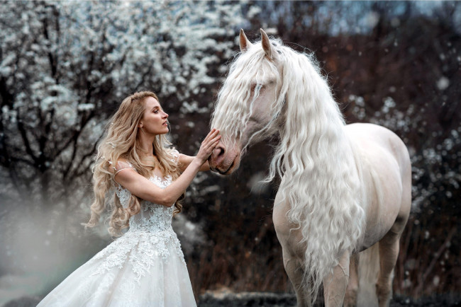 Обои картинки фото девушки, - невесты, невеста, свадебное, платье, блондинка, лошадь, marie, kruzikova