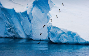 обоя животные, пингвины, вода, прыжок, лед